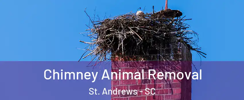  Chimney Animal Removal St. Andrews - SC