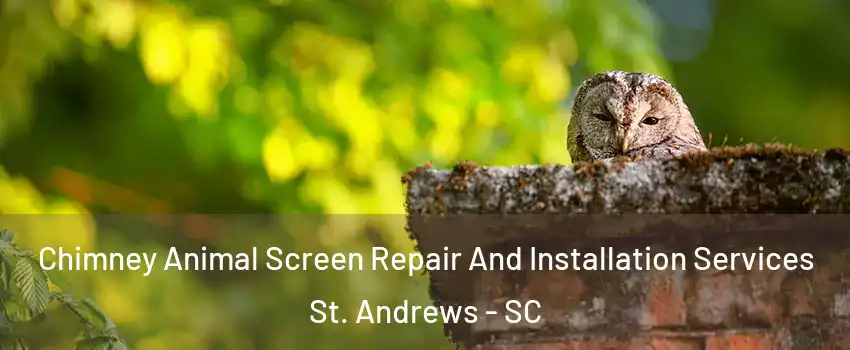  Chimney Animal Screen Repair And Installation Services St. Andrews - SC