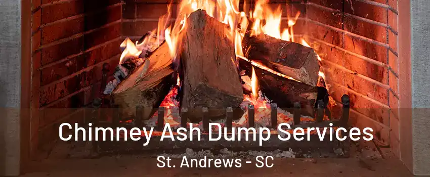  Chimney Ash Dump Services St. Andrews - SC