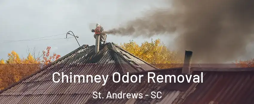  Chimney Odor Removal St. Andrews - SC