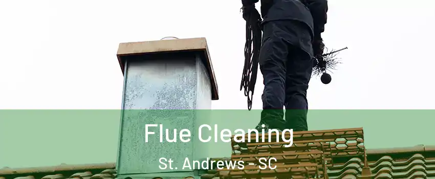  Flue Cleaning St. Andrews - SC