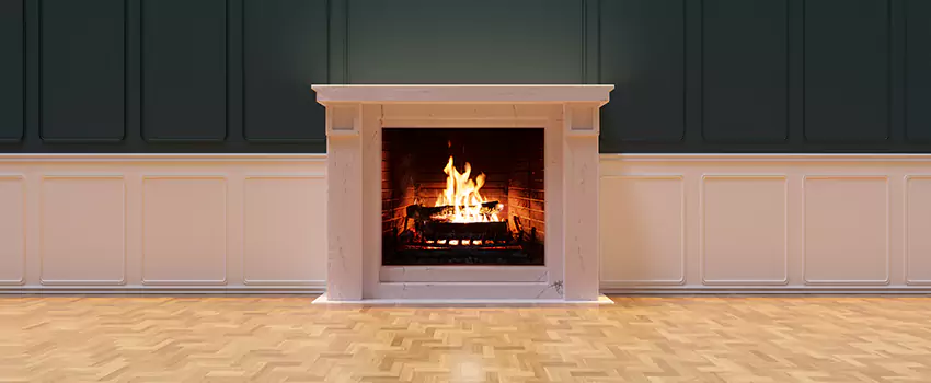 Napoleon Electric Fireplaces Inspection Service in St. Andrews, South Carolina