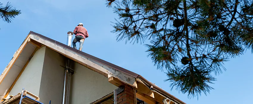 Birds Removal Contractors from Chimney in St. Andrews, SC